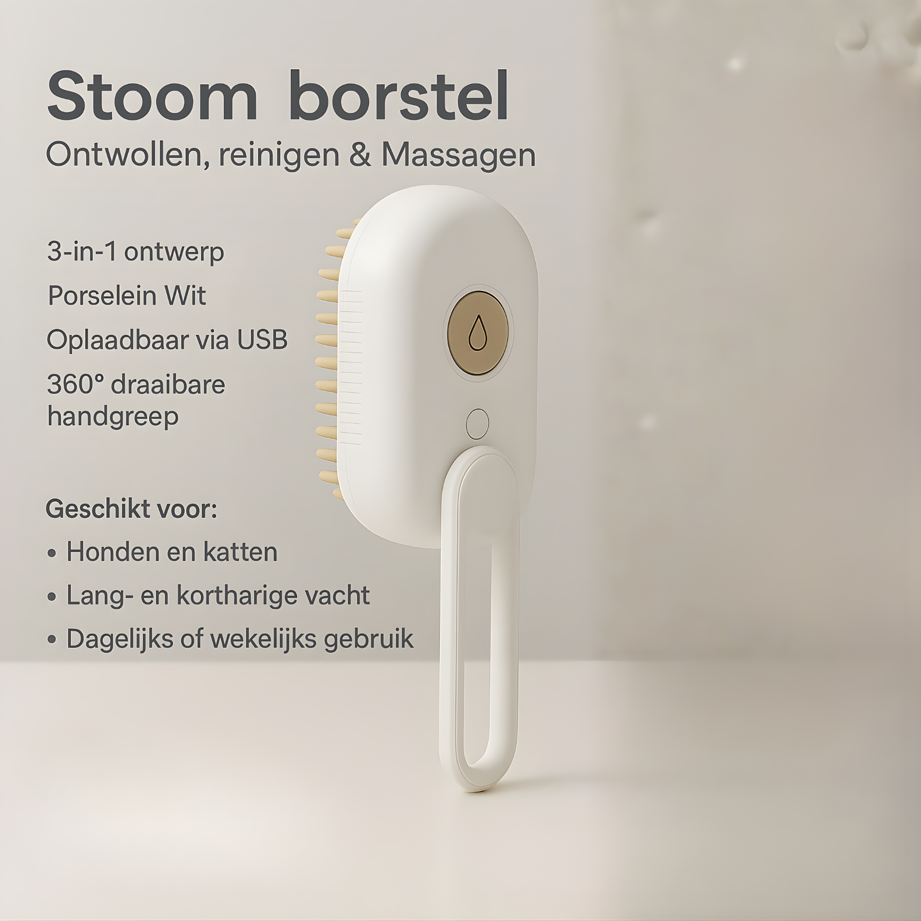 Stoom borstel
